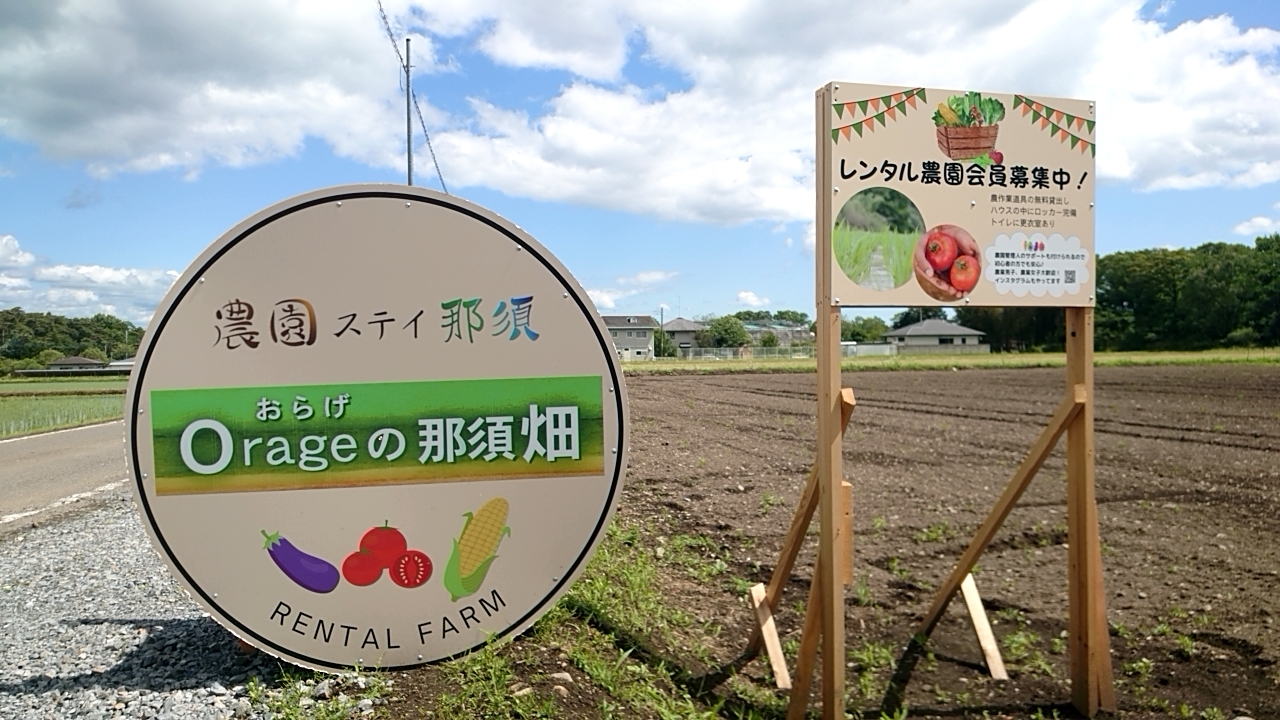 旬の新鮮野菜の収穫体験